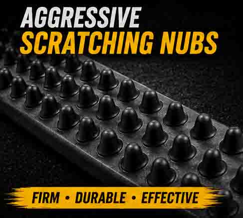 Best back scratcher for seniors and the elderly.